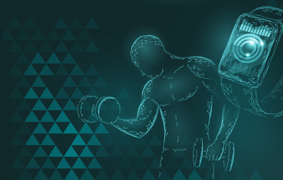 Bro Split vs Üst-Alt vs Tüm Vücut (Full Body): Hangisi Daha İyi?