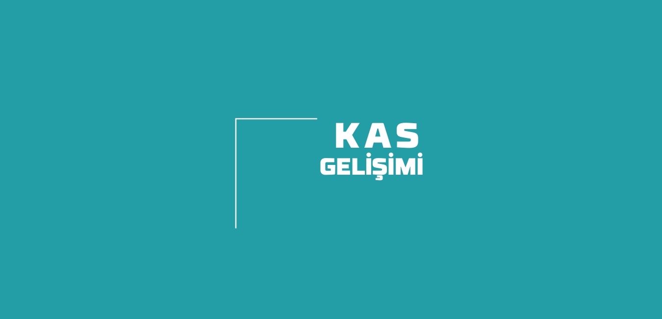 Kas Gelişimi ve Hipertrofi Çeşitleri