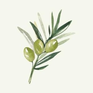 Akdeniz Tipi Yaşam Tarzı