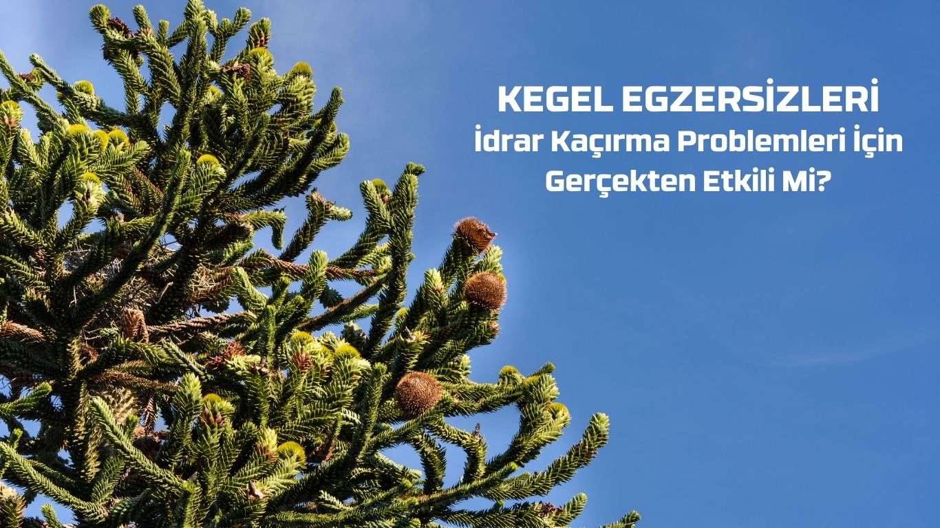 Kegel Egzersizleri Yaşam Kalitenizi Arttırır